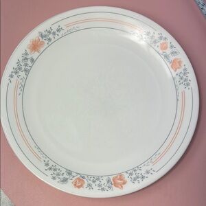 Corelle Apricot Grove Dinner Plates